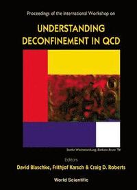 bokomslag Understanding Deconfinement in QCD - Proceedings of the International Workshop