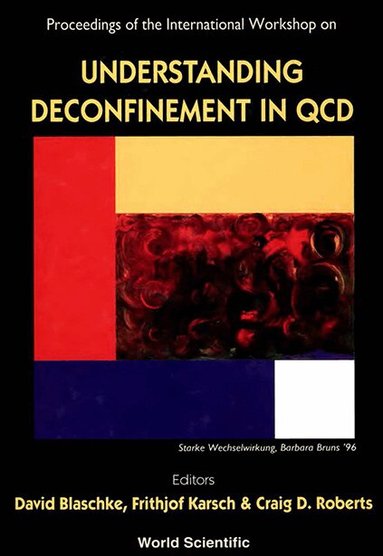 BLASCHKE DAVID, David Blaschke, Frithjof Karsch, Craig D Roberts - UNDERSTANDING DECONFINEMENT IN QCD - PROCEEDINGS OF THE INTERNATIONAL WORKSHOP, Inbunden