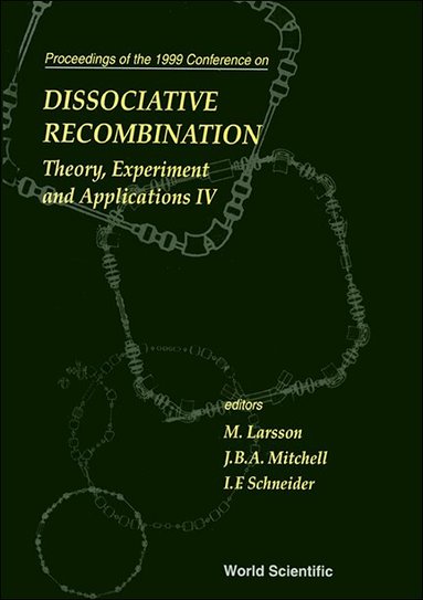 LARSSON M, M Larsson, J B A Mitchell, I F Schneider - DISSOCIATIVE RECOMBINATION: THEORY, EXPERIMENTS AND APPLICATIONS IV, Inbunden