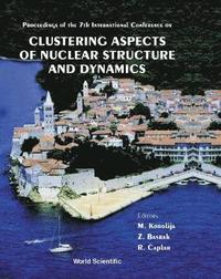 bokomslag Clustering Aspects Of Nuclear Structure And Dynamics: Cluster '99 - Proceedings Of The 7th International Conference