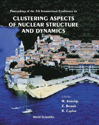 bokomslag Clustering Aspects Of Nuclear Structure And Dynamics: Cluster '99 - Proceedings Of The 7th International Conference