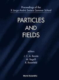 bokomslag Particles And Fields - Proceedings Of The X Jorge Andre Swieca Summer School