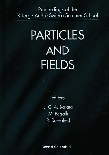 BARATA J C A, J C A Barata, M Begalli, R Rosenfeld - PARTICLES AND FIELDS - PROCEEDINGS OF THE X JORGE ANDRE SWIECA SUMMER SCHOOL, Inbunden