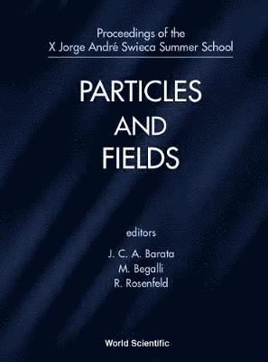 bokomslag Particles And Fields - Proceedings Of The X Jorge Andre Swieca Summer School