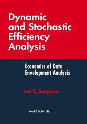 bokomslag Dynamic And Stochastic Efficiency Analysis