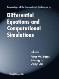 bokomslag Differential Equations And Computational Simulations - Proceedings Of The International Conference