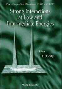 bokomslag Strong Interactions At Low And Intermediate Energies - Proceedings Of The 13th Annual Hugs At Cebaf