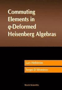 bokomslag Commuting Elements In Q-deformed Heisenberg Algebras