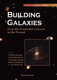 bokomslag Building Galaxies: From The Primordial Universe To The Present, Procs Of The Xixth Rencontres De Moriond