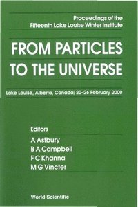 bokomslag From Particles To The Universe - Proceedings Of The Fifteenth Lake Louise Winter Institute