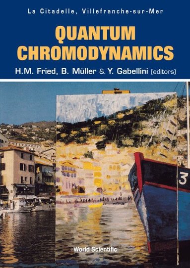 FRIED H M, H M Fried, B Müller - QUANTUM CHROMODYNAMICS - PROCEEDINGS OF THE FIFTH WORKSHOP, Inbunden