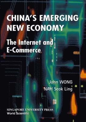 bokomslag China's Emerging New Economy