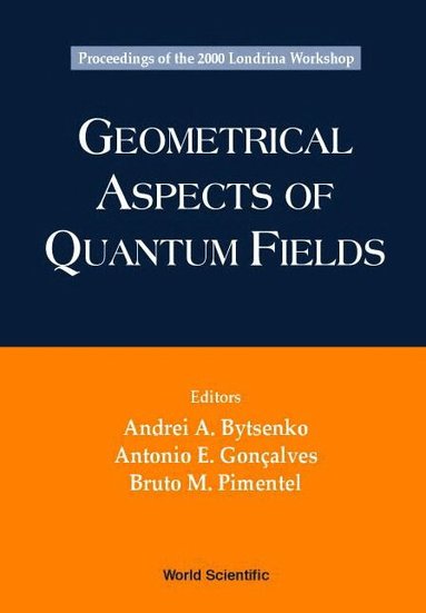 BYTSENKO A A, Andrei A Bytsenko, Antonio E Gonçalves, Bruto M Pimentel - GEOMETRICAL ASPECTS OF QUANTUM FIELDS - PROCEEDINGS OF THE 2000 LONDRINA WORKSHOP, Inbunden