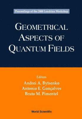 bokomslag Geometrical Aspects Of Quantum Fields - Proceedings Of The 2000 Londrina Workshop