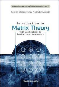 bokomslag Introduction To Matrix Theory: With Applications To Business And Economics