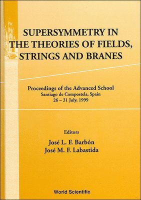 bokomslag Supersymmetry In The Theories Of Fields, Strings & Branes, Procs Of The Advanced School