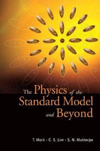 bokomslag Physics Of The Standard Model And Beyond, The