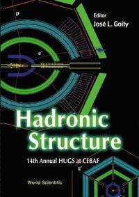 bokomslag Hadronic Structure - Proceedings Of The 14th Annual Hugs At Cebaf