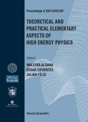 Theoretical And Practical Elementary Aspects Of High Energy Physics, Procs Of Xxv Curccaf 1