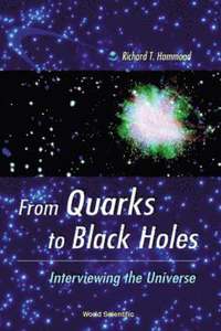 bokomslag From Quarks To Black Holes - Interviewing The Universe