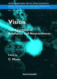 bokomslag Vision: The Approach Of Biophysics And Neuroscience - Proceedings Of The International School Of Biophysics