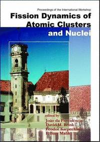 bokomslag Fission Dynamics Of Atomic Clusters And Nuclei - Proceedings Of The International Workshop