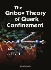 bokomslag Gribov Theory Of Quark Confinement, The