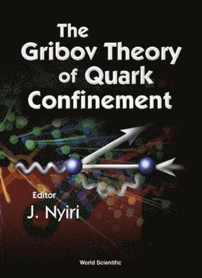 bokomslag Gribov Theory Of Quark Confinement, The