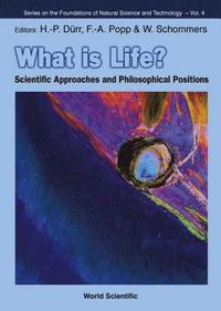 bokomslag What Is Life? Scientific Approaches And Philosophical Positions