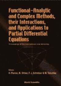 bokomslag Functional-analytic And Complex Methods, Their Interactions, And Applications To Partial Differential Equations - Proceedings Of The International Graz Workshop