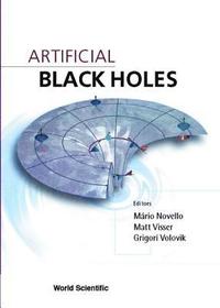 bokomslag Artificial Black Holes