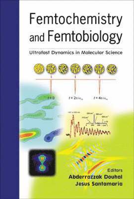 bokomslag Femtochemistry And Femtobiology: Ultrafast Dynamics In Molecular Science