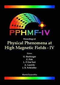 bokomslag Physical Phenomena At High Magnetic Fields - Iv