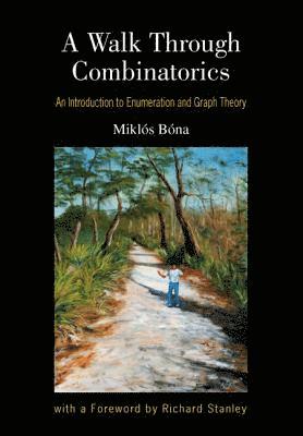 bokomslag Walk Through Combinatorics, A: An Introduction To Enumeration And Graph Theory