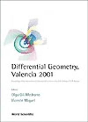 bokomslag Differential Geometry, Valencia 2001 - Procs Of The Intl Conf Held To Honour The 60th Birthday Of A M Naveira
