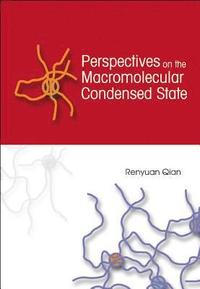 bokomslag Perspectives On The Macromolecular Condensed State