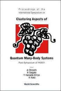 bokomslag Clustering Aspects Of Quantum Many-body Systems - Proceedings Of The International Symposium On Post-symposium Of Ykis01