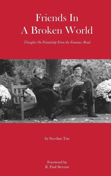 Soo-Inn Tan - Friends In A Broken World, Häftad