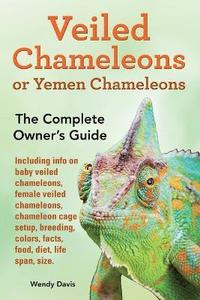 bokomslag Veiled Chameleons or Yemen Chameleons as pets. info on baby veiled chameleons, female veiled chameleons, chameleon cage setup, breeding, colors, facts, food, diet, life span, size.