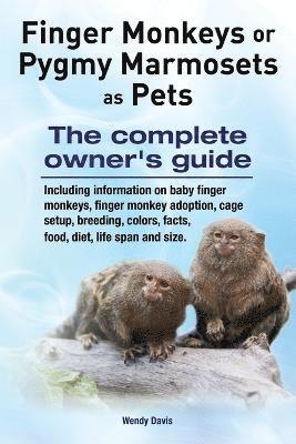 Finger Monkeys or Pygmy Marmosets as Pets. Including information on baby finger monkeys, finger monkey adoption, cage setup, breeding, colors, facts, food, diet, life span and size 1