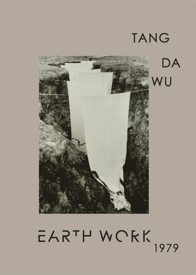 bokomslag Earth Work 1979