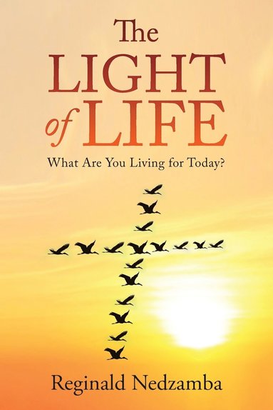 bokomslag Light of Life