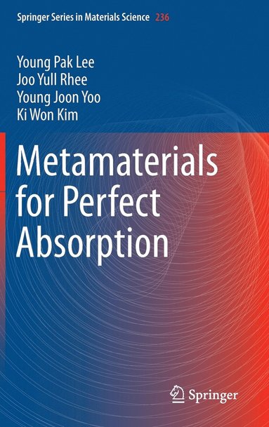 bokomslag Metamaterials for Perfect Absorption