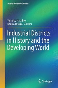 bokomslag Industrial Districts in History and the Developing World