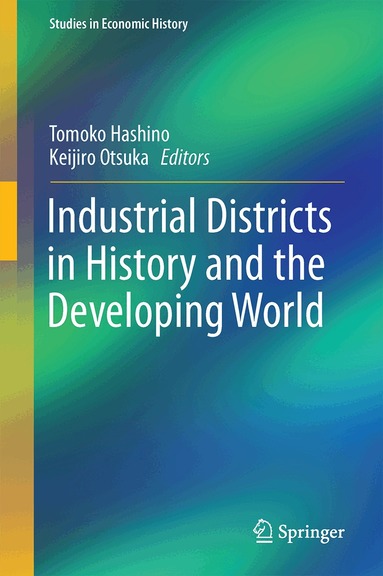Tomoko Hashino, Keijiro Otsuka - Industrial Districts in History and the Developing World, Inbunden