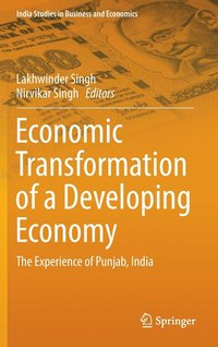 bokomslag Economic Transformation of a Developing Economy