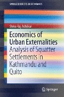 bokomslag Economics of Urban Externalities