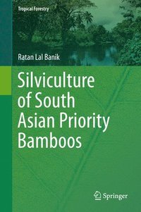 bokomslag Silviculture of South Asian Priority Bamboos