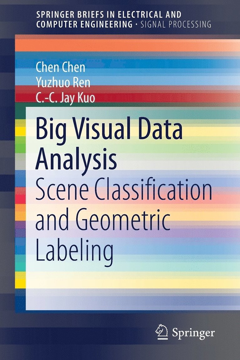 Chen Chen, Yuzhuo Ren, C.-C. Jay Kuo - Big Visual Data Analysis, Häftad