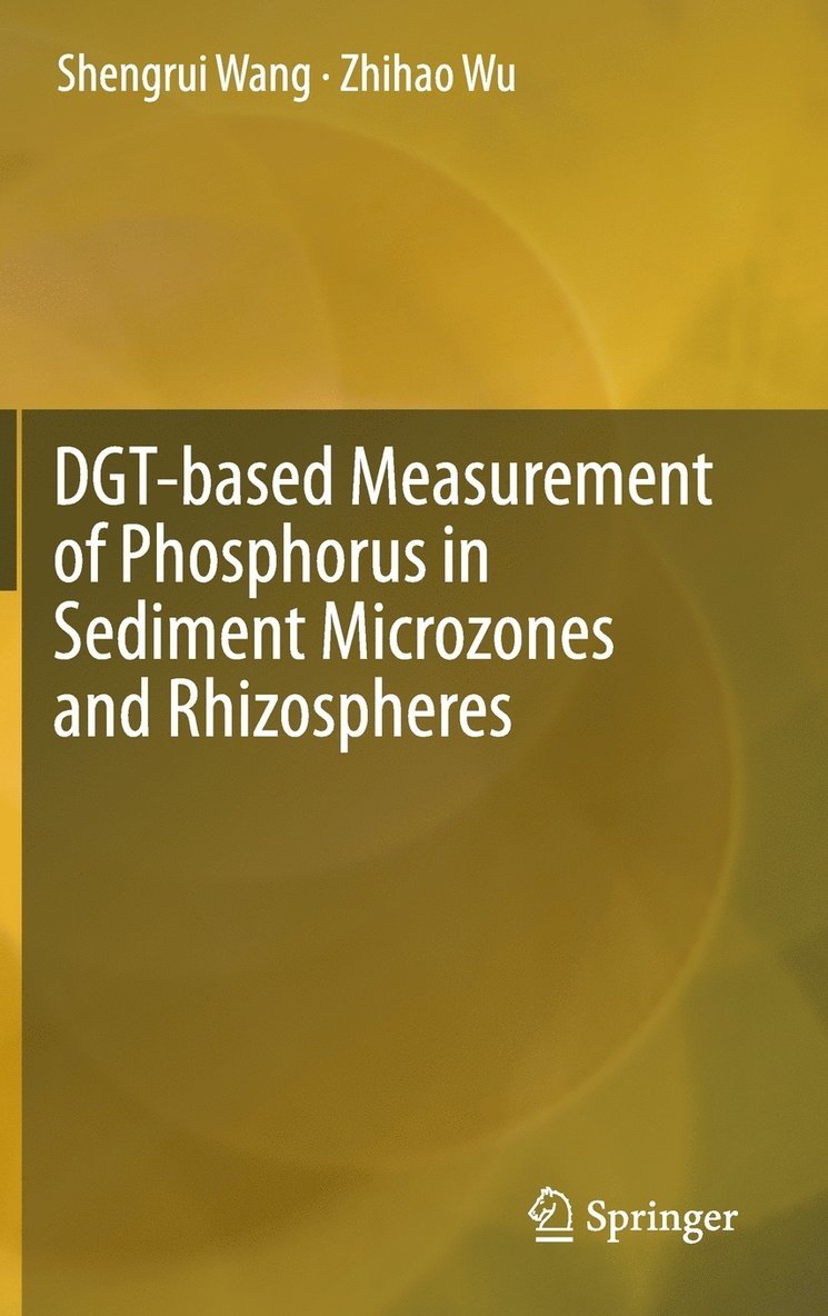 Shengrui Wang, Zhihao Wu - DGT-based Measurement of Phosphorus in Sediment Microzones and Rhizospheres, Inbunden